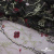 Сетка с вышивкой "Мадрид" 135 г/м2, 100% нейлон, ширина 130 см, Цвет 4/Черный - купить в Калининграде. Цена 980 руб.