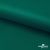 Ткань подкладочная Таффета, 19-5420, 53 г/м2, антистатик, шир. 150 см, вечнозеленый - купить в Калининграде. Цена 57.16 руб.