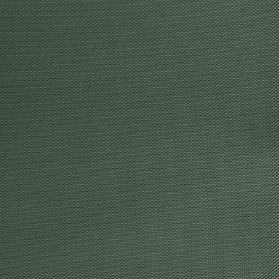 Оксфорд (Oxford) 240D 19-5917, PU/WR, 115 гр/м2, шир.150см, цвет т.зелёный - купить в Калининграде. Цена 152.54 руб.