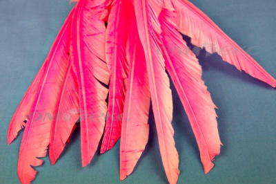 Декоративный Пучок из перьев, перо 25см/розовый - купить в Калининграде. Цена: 14.40 руб.