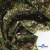 Ткань костюмная «Микровельвет велюровый принт», 220 г/м2, 97% полиэстр, 3% спандекс, ш. 150См Цв  #9 - купить в Калининграде. Цена 439.76 руб.