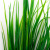 Трава искусственная -2, шт (осока 41см/8 см)				 - купить в Калининграде. Цена: 104.57 руб.