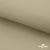 Ткань подкладочная TWILL 230T 14-1108, беж светлый 100% полиэстер,66 г/м2, шир.150 cм - купить в Калининграде. Цена 90.59 руб.