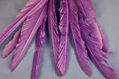 Декоративный Пучок из перьев, перо 25см/фиолетовый - купить в Калининграде. Цена: 12.19 руб.