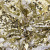Трикотажное полотно, Сетка с пайетками, шир.130 см, #315, цв.-белый/золото - купить в Калининграде. Цена 693.39 руб.