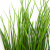 Трава искусственная -4, шт  (осока 50 см/8 см  7 листов)				 - купить в Калининграде. Цена: 130.73 руб.