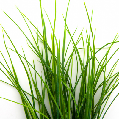 Трава искусственная -3, шт (осока 50 см/8 см  5 листов)				 - купить в Калининграде. Цена: 124.17 руб.