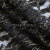 Кружевное полотно XD LACE 1-4, 80 гр/м2, шир.150см, цвет чёрный - купить в Калининграде. Цена 245.94 руб.